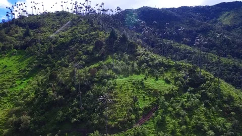 VALLE COCORA QUINDIO Vidéo 126556505