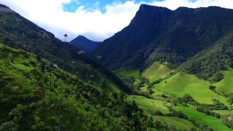 VALLE COCORA QUINDIO Vidéo 126556547