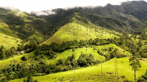 Valle de Cocora 動画素材 250637360
