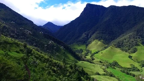 VALLE DEL COCORA Vidéo 126556566