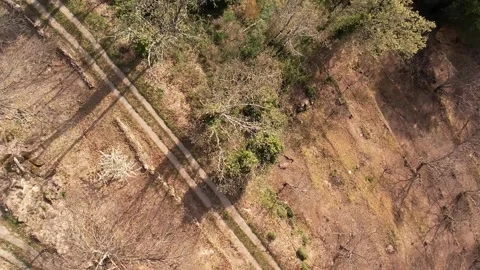 Valle del Jerte Stock Footage 311800351