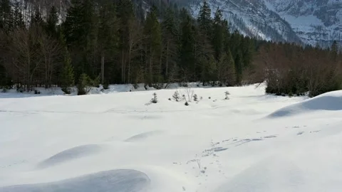 Valle Riofreddo 2022 - Video stock 194670709
