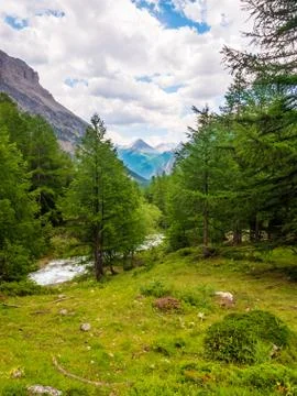 Valle Stretta Stock Photos