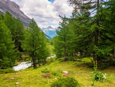 Valle Stretta Stock Photos