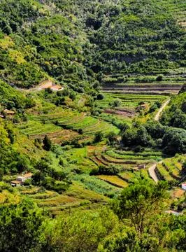 Vallehermoso on gomera Stock Photos