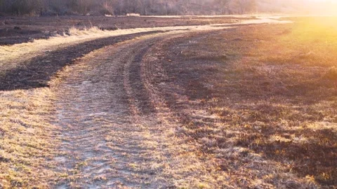 Valley after the fire in camera movement. Stock Footage 309014551