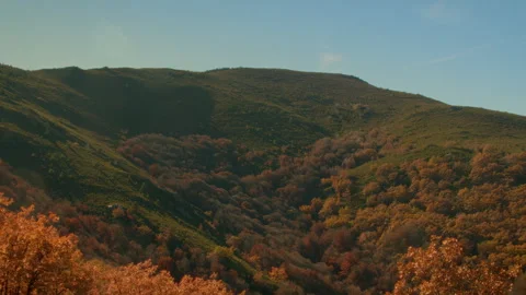Valley in autumn Stock Footage 253501837