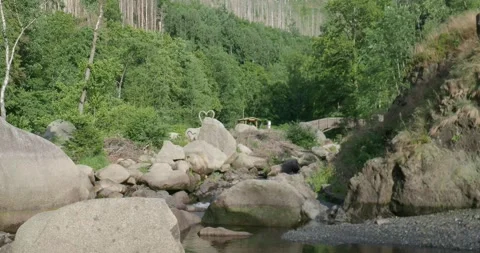 Valley with big rocks and low water stream in Harz mountains, GER Stock Footage 313827534