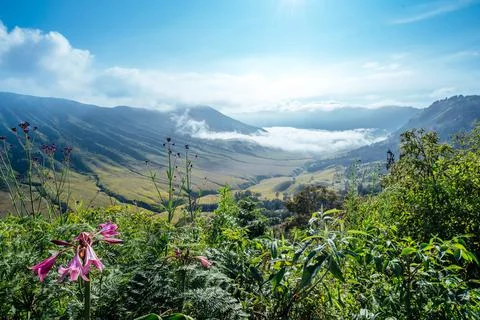 Valley of Bromo Stock Photos