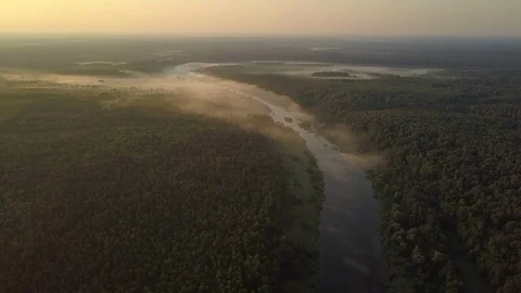 Valley covered with green thick forest and long blue river Stock Footage 116599206