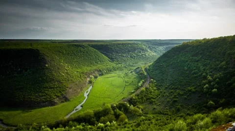 Valley of cows, river and forest Stock Footage 57727661