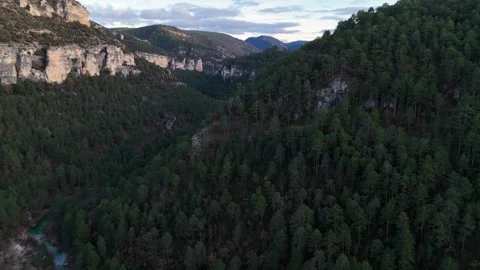 Valley Ecosystem with Rock Formations Dense Forest Alto Tajo Spain Видео 337719976