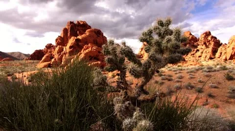 Valley of fire-13 2 Stock Footage 20479557