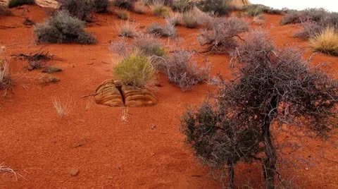 Valley of fire-98 2 動画素材 20480183