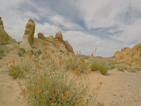 Valley of Fire Las Vegas Nevada Stock Footage