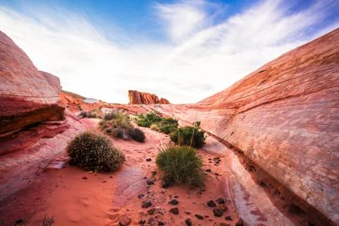 Valley of fire Stock Photos