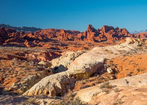 Valley of Fire 库存照片
