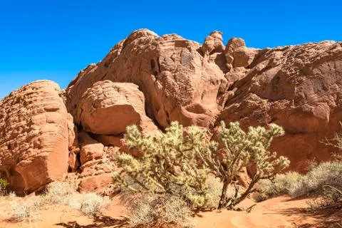 Valley of Fire Foto stock