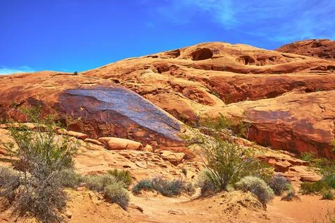 Valley of Fire Red Sandstone Formations Desert Shrubs and Mouse's Tank Rock.. Stock Photos
