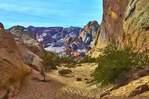 Valley of Fire Sandstone Cliffs and Seven Wonders Trail with Desert Vegetatio Stock Photos