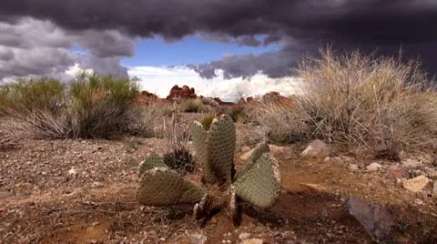 Valley of fire.08 Stock Footage 20470028