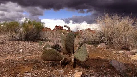 Valley of fire.09 Video stock 20470038