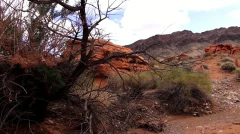 Valley of fire.51 스톡 동영상 20470388
