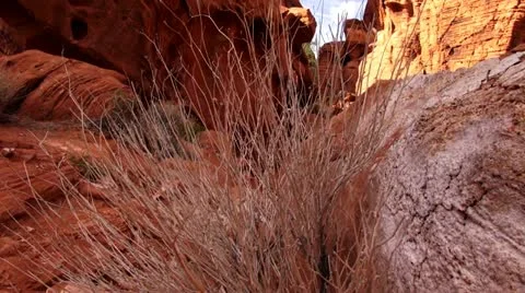 Valley of fire.80 Stock Footage 20470682