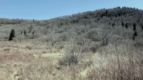 Valley floor and trail 360 Graveyard fields near Canton North Carolina 4K Stock Footage 89603573