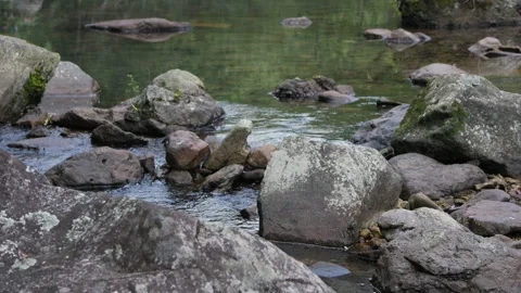 Valley floor large rocks slowly clear stream Stock Footage 241231198