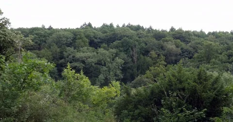 Valley. Stock Footage 79569332