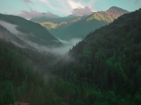 Valley Stock Footage 80607514