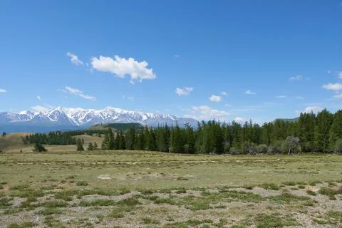 A valley with a forest against a backdrop of snow-capped mountain peaks. Stock Photos