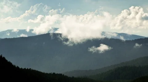 In the valley formed by the fog Stock Footage 61102788