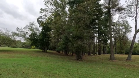 Valley Garden Park Stock Footage 286146091