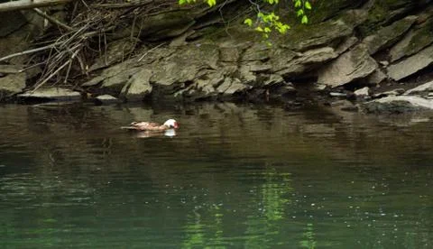 Valley Green Inn2 Stock Photos