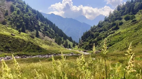 Valley ground view Stock Footage 334122932