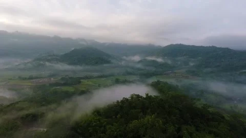 The valley in jogja is covered in thick fog Stock Footage 213929574