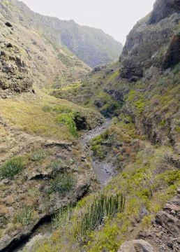 Valley on la palma Stock Photos
