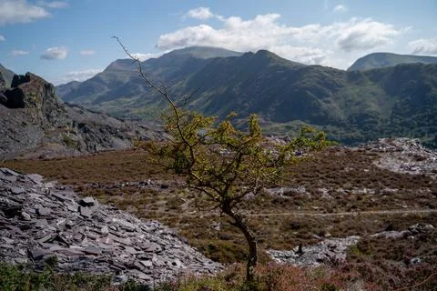 Valley Landscape Stockfoto's