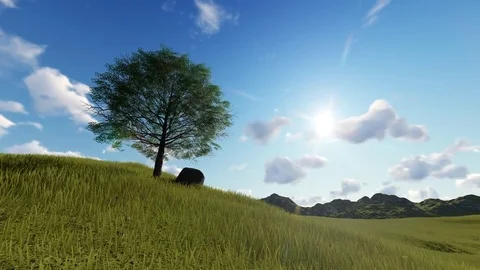 Valley Meadow and Tree Pan With Sun Rays Stock Footage 83311176