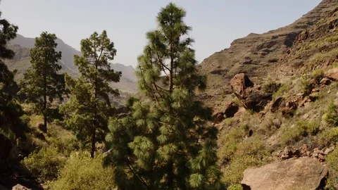 The valley of Mexico Video stock 106284923