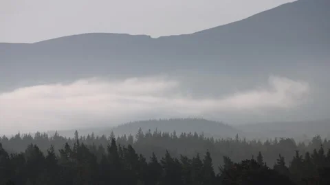 Valley mist moving over forest with Scottish mountain background Stock Footage 310452309