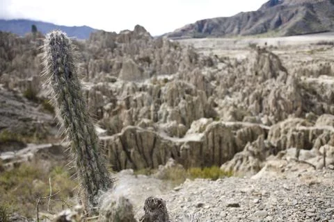 Valley of the Moon Stock Photos