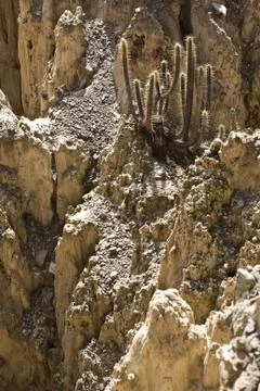 Valley of the Moon Stock Photos