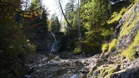 A valley with a mountain stream in autumn 스톡 동영상 260863120