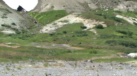 Valley of Mutnovsky volcano. Video stock 52489454