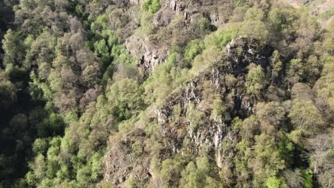 Valley Of Narzans Rocky Ridge Spring Forest Aerial B Roll Stock Footage 337023789