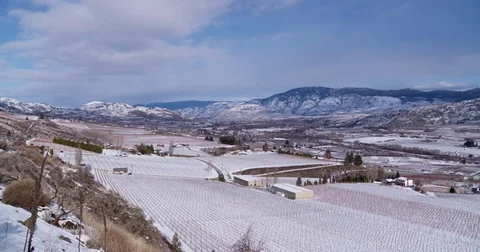 Valley Orchards Winter scene 2-panning Stock Footage