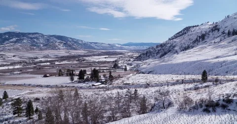 Valley Orchards Winter scene 2, Panning Stock Footage